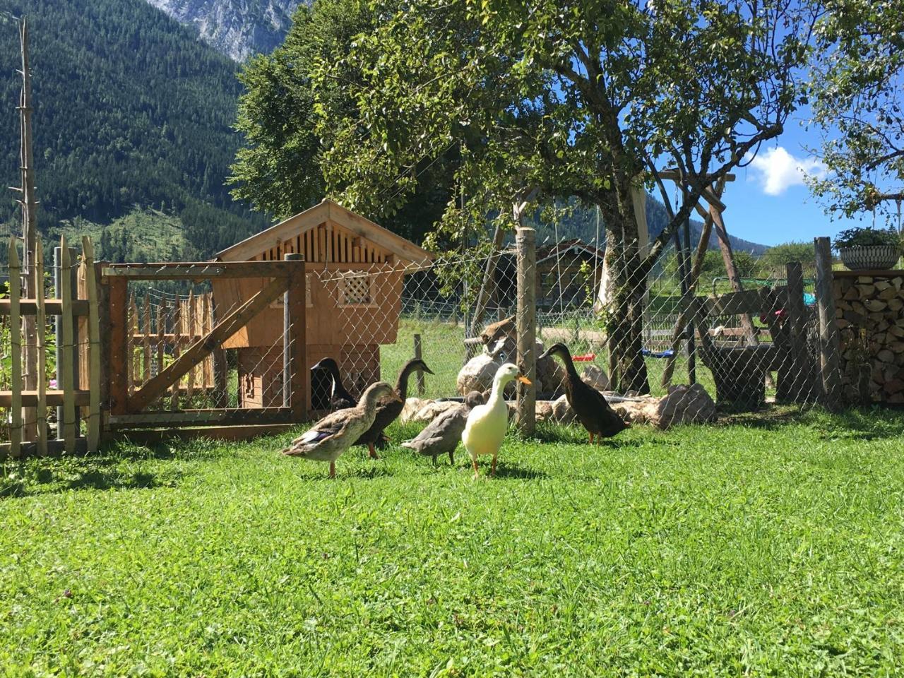 Vorderponholz Ferienwohnungen Ramsau bei Berchtesgaden Luaran gambar
