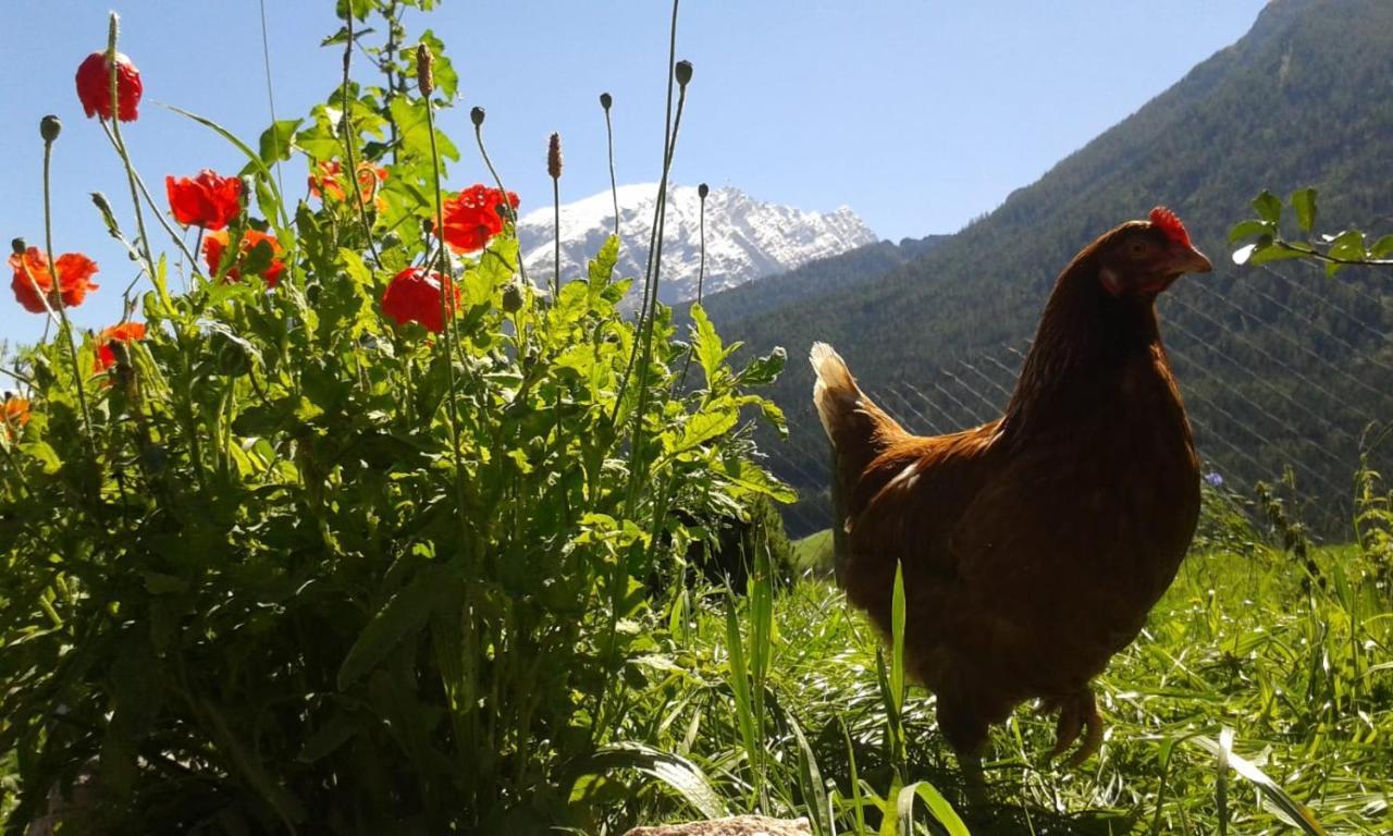Vorderponholz Ferienwohnungen Ramsau bei Berchtesgaden Luaran gambar