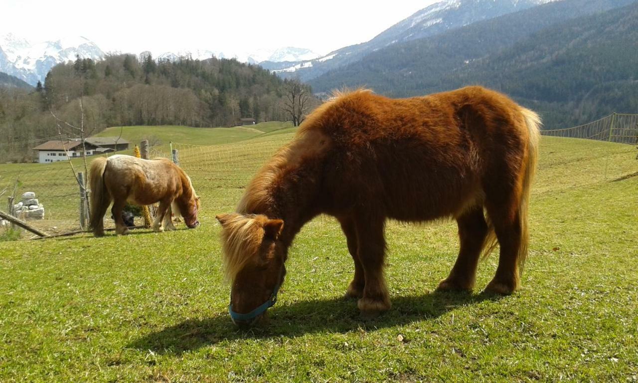 Vorderponholz Ferienwohnungen Ramsau bei Berchtesgaden Luaran gambar